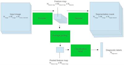 WaSP-ECG: A Wave Segmentation Pretraining Toolkit for Electrocardiogram Analysis